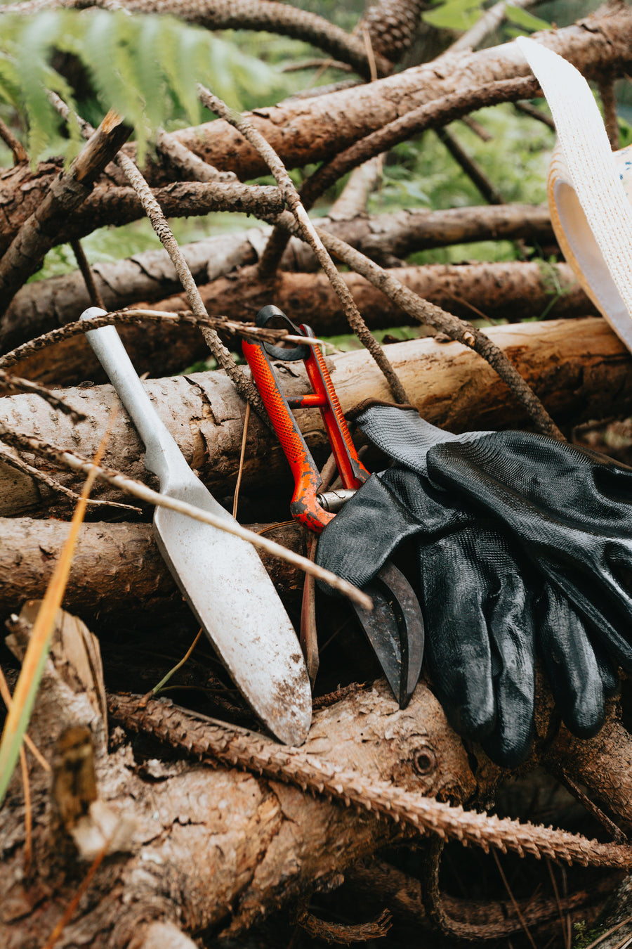 Outils de jardin et gants posés sur du bois
