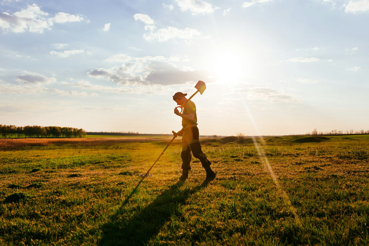 Prospection au détecteur de métaux dans un champ au coucher du soleil